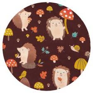 Cloud Blanket! Little Sleepies Brown Hedgehog